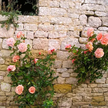 Maison élégante à Avec Cheminée