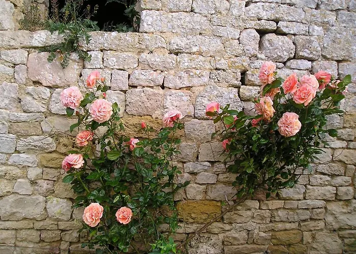 Maison Elegante A Avec Cheminee Holiday home